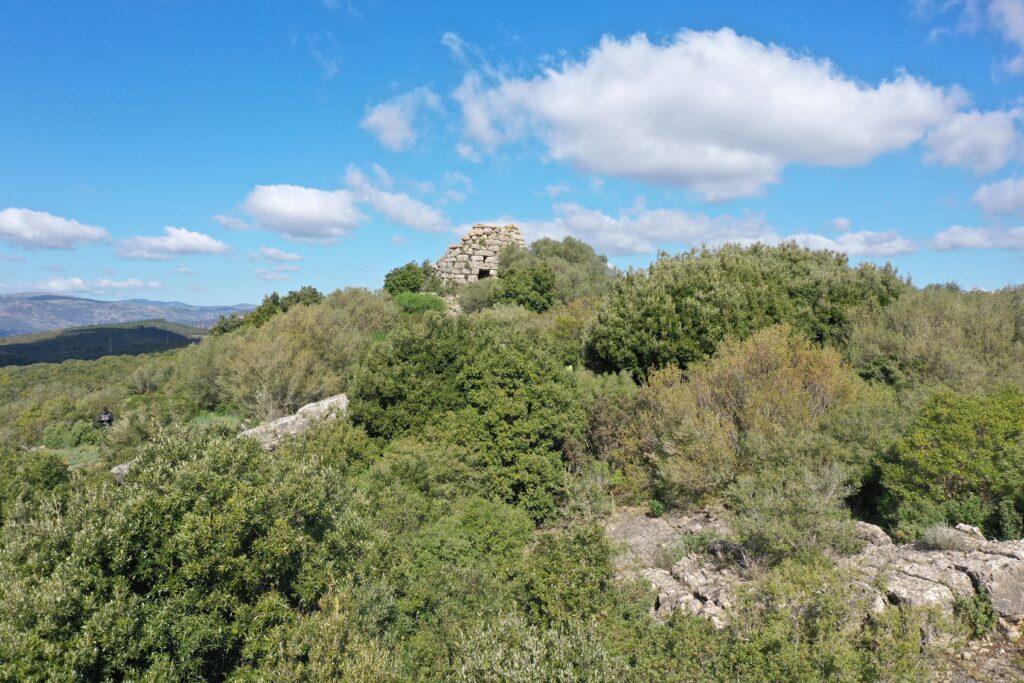 Paesaggio macchia mediterranea. contattaci